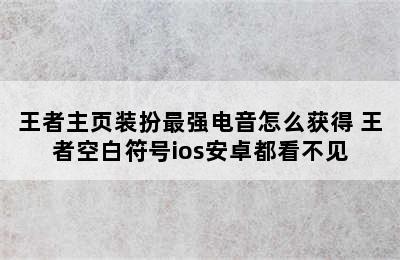 王者主页装扮最强电音怎么获得 王者空白符号ios安卓都看不见